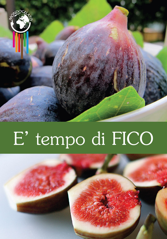 Gelato artigianale